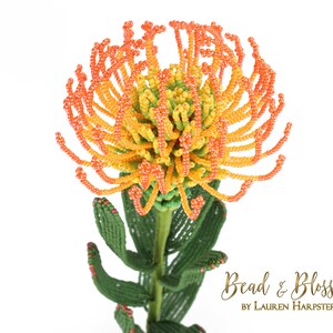 May include: A beaded flower sculpture in the shape of a protea, with orange, yellow, and green beads. The flower is on a green stem with leaves. The text "Bead & Blossom by Lauren Harpster" is at the bottom of the image.