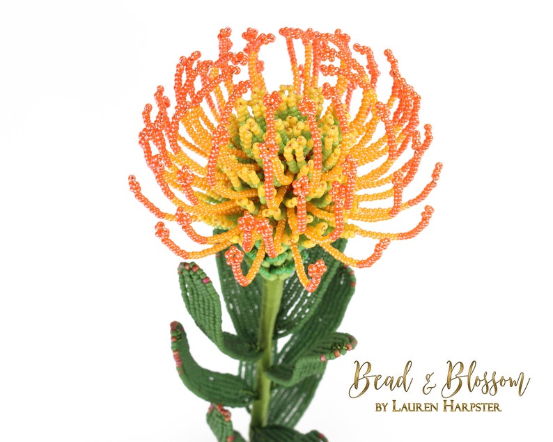 May include: A beaded flower sculpture in the shape of a protea, with orange, yellow, and green beads. The flower is on a green stem with leaves. The text "Bead & Blossom by Lauren Harpster" is at the bottom of the image.