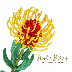 May include: A beaded flower sculpture in the shape of a red and yellow protea. The flower is made with small beads and wire. The sculpture is on a white background. Bead & Blossom by Lauren Harpster.