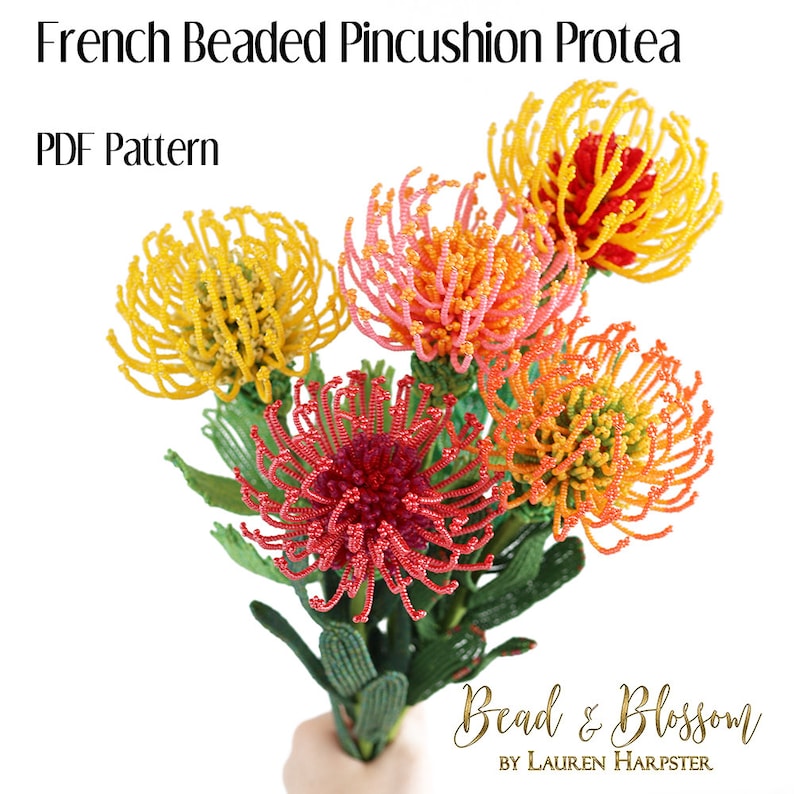 May include: A bouquet of four beaded Protea flowers in shades of red, orange, yellow, and pink. The flowers are made with small beads and wire, and they are arranged in a hand-held bouquet. The flowers are on a white background. The text "Bead & Blossom by Lauren Harpster" is at the bottom of the image.  French Beaded Pincushion Protea PDF Pattern.