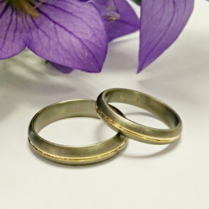Titan / Gold Trauring Set,Eheringe,Titanium Eheringe,Silberring,Verlobungsring,Silberring