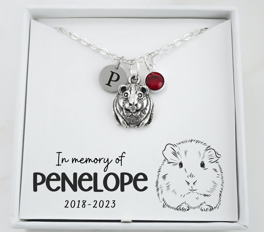 Guinea Pig Memorial Necklace Kids Pet Memorial Gift Personalized