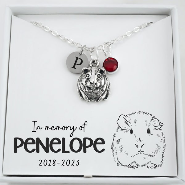 Guinea Pig Memorial Necklace - Kids Pet Memorial Gift - Personalized Initial and Birthstone - In Memory of Guinea Pig Jewelry