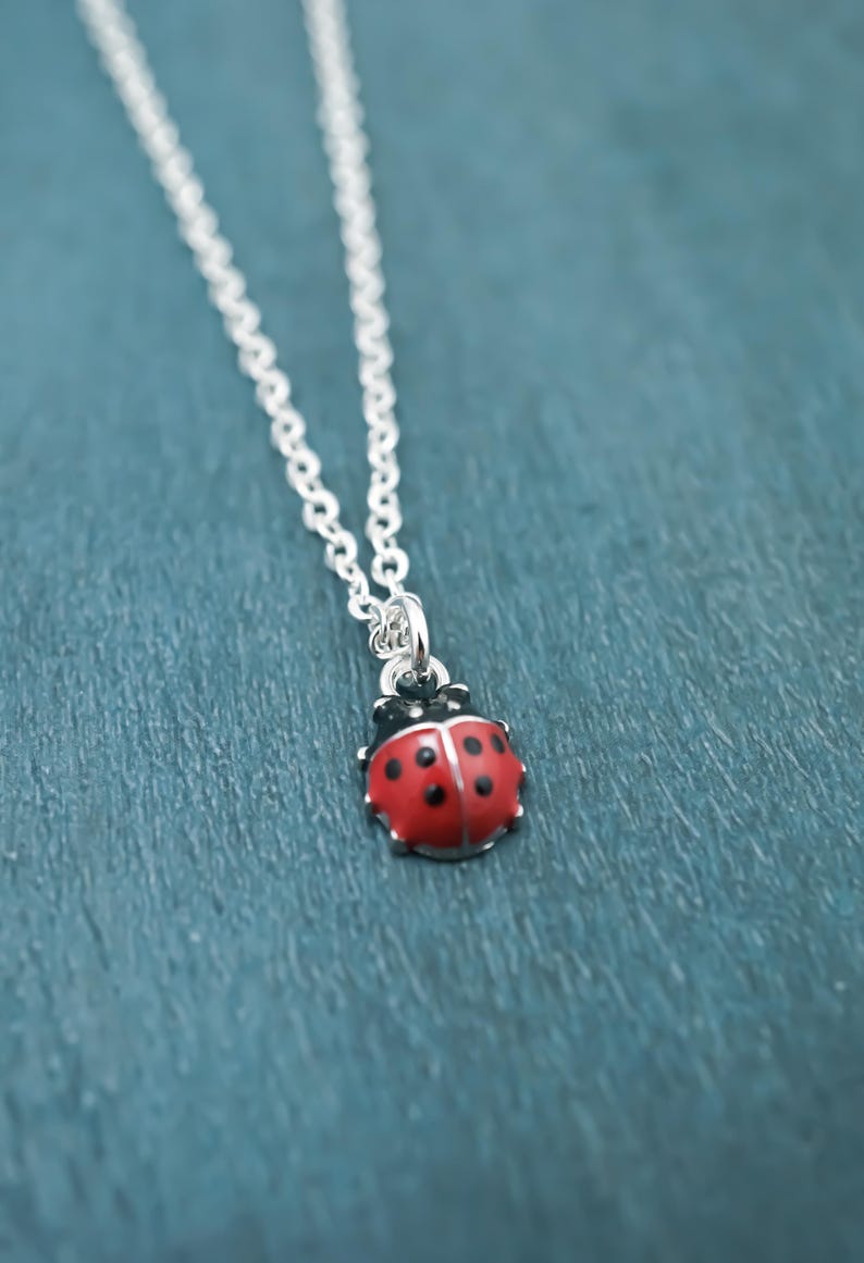 Small Ladybug Necklace, Earrings or Keychain - Enamel and Silver Lady Bug Charm Pendant - Insect Jewelry bild 6