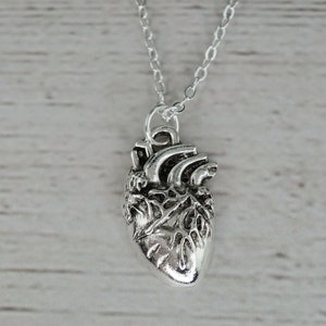 Anatomical Heart Necklace Sterling Silver Anatomical Heart - Etsy