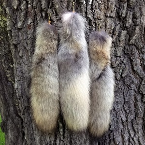 Coyote Tail Keychain - real brush wolf tail