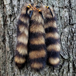 May include: Three raccoon tail keychains with brown and black striped fur, hanging against a textured tree trunk. Each tail is adorned with black leather accents and orange and yellow beads.
