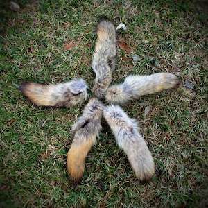 Group of Scrap Coyote Tails - real brush wolf tail