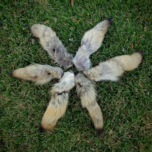 Group of Scrap Coyote Tails - real brush wolf tail