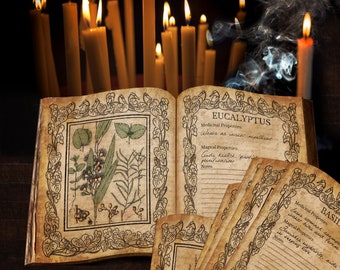 Herbology Pages Pack #1 - Botanical - Witch