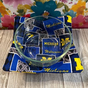 Handmade Reversible Microwavable Safe Bowl Cozy: Michigan