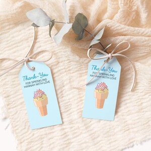 Ice Cream Baby Shower Favor Tag, Summer Popsicle Favor Tag, Here&#39;s the Scoop, Thank-you Tag, Gift Tag, Sweet Treat Baby Shower Tag, 0031BS