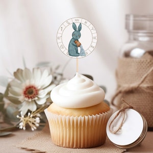 Aquarius Boho Zodiac Cupcake Toppers, Celestial Mystical Baby Shower Cake Toppers, January February Winter Decorations Gender Neutral 0065BS