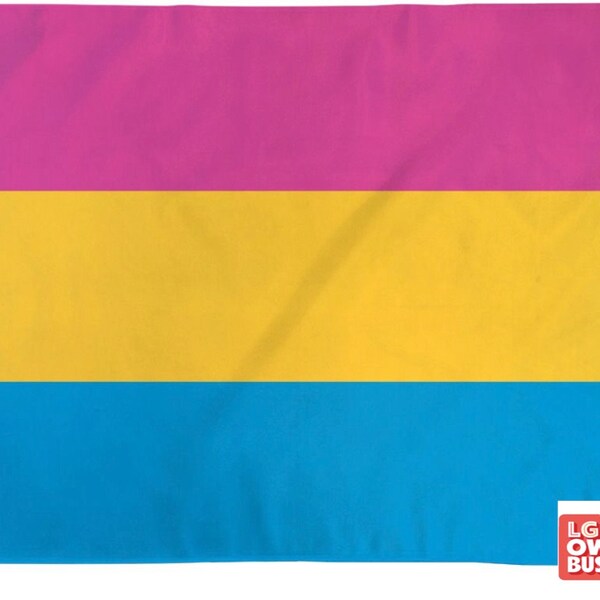 Pansexual Pride  2' x 3' or 3' x 5' Flag LGBTQ Pride Flag Waterproof Indoor/Outdoor Flag