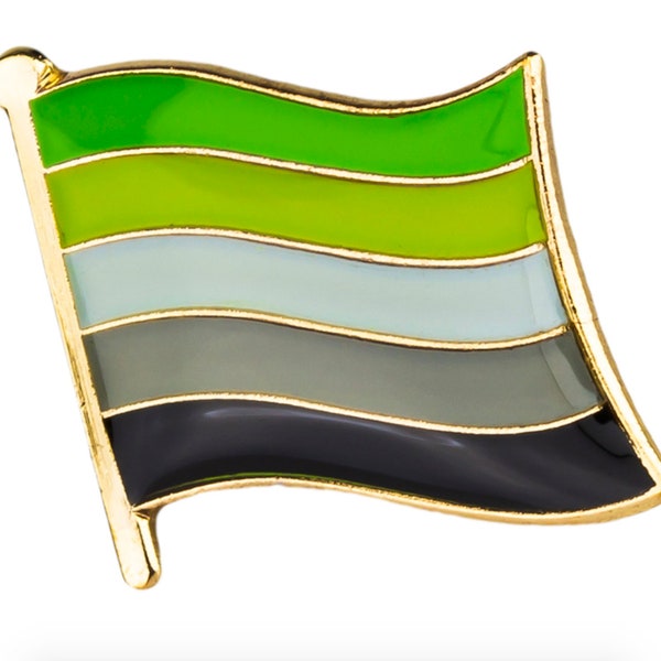 Aromantic Flag Lapel Pin (3/4" x 5/8")
