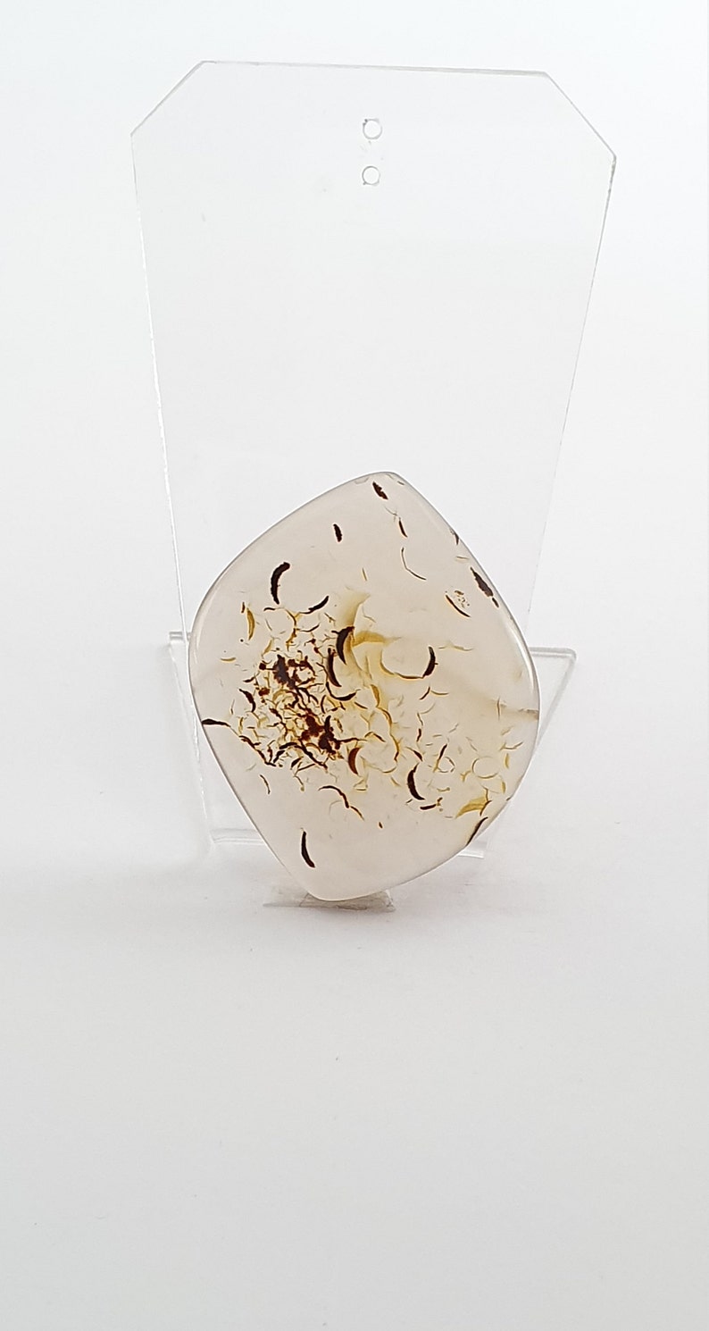 Montana Agate Cabochon