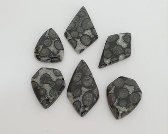 6 Pcs Lot of Jasper Cabochon