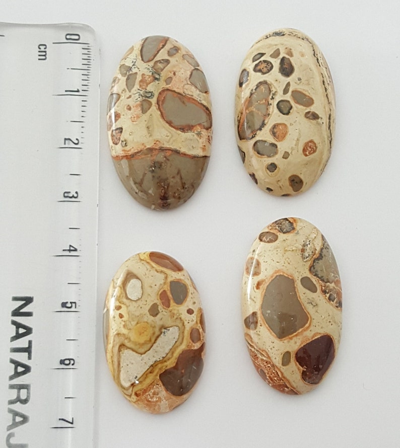 4 Pcs Lot of Leopardite Cabochon