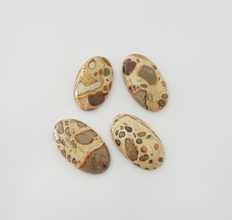 4 Pcs Lot of Leopardite Cabochon