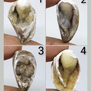 Puede incluir: Cuatro conchas fosilizadas con formaciones cristalinas en su interior. Las conchas son de varios tonos de marrón, blanco y gris. Los cristales son transparentes y brillantes.