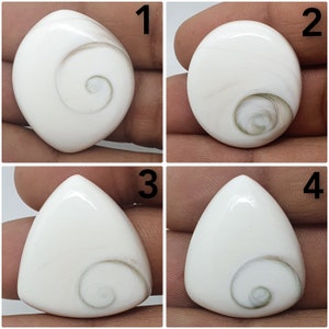 Shiva Eye Fossil Shell Cabochon