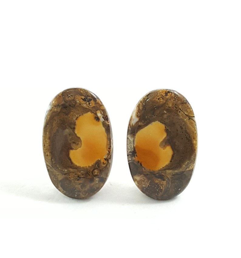 Cobra Jasper Pair Cabochon