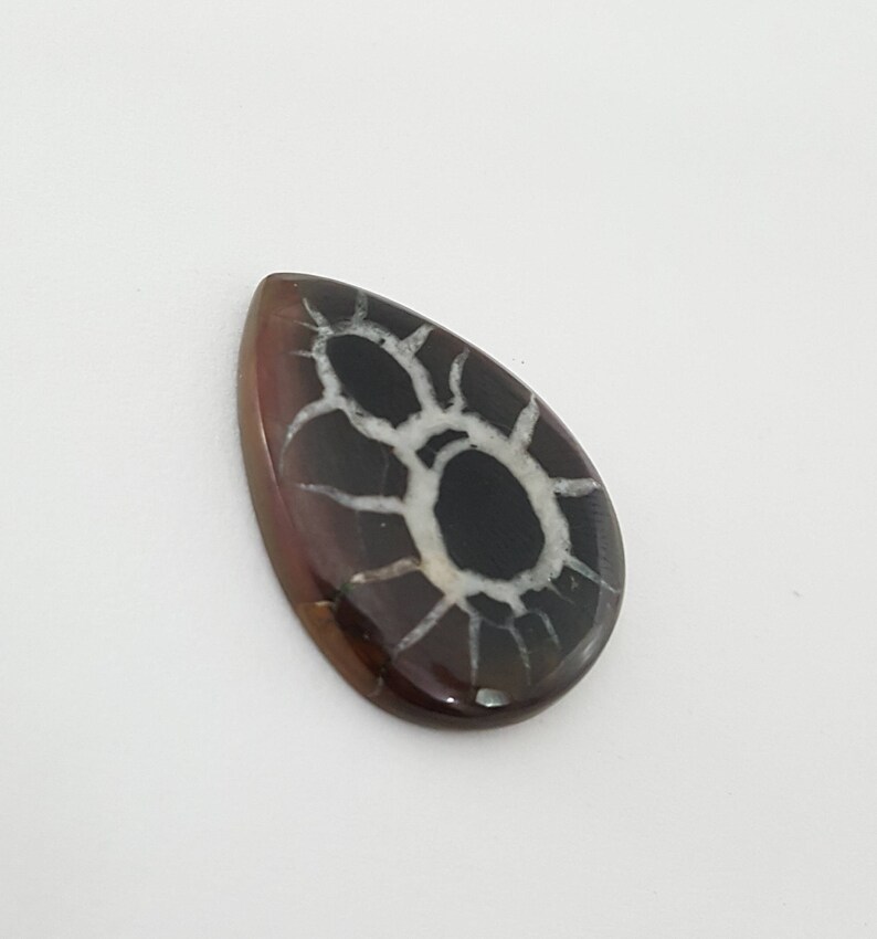 Septarian gronates Cabochon