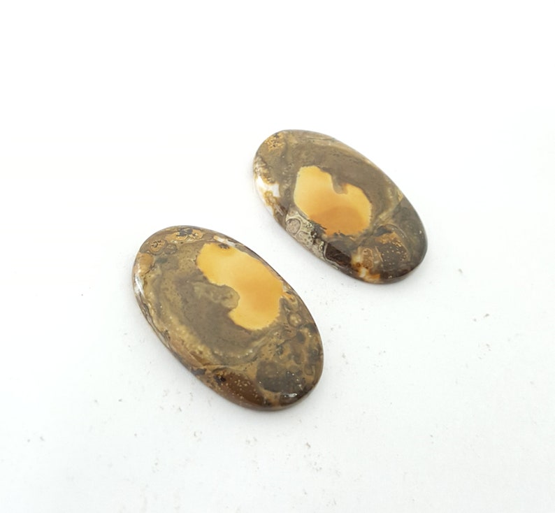 Cobra Jasper Pair Cabochon