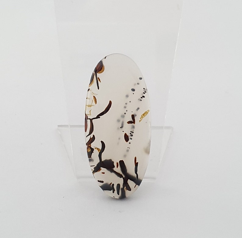 Montana Agate Cabochon