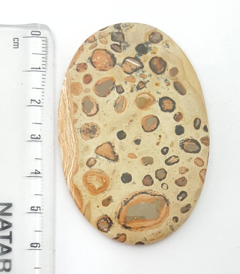 Leopardite Jasper Cabochon