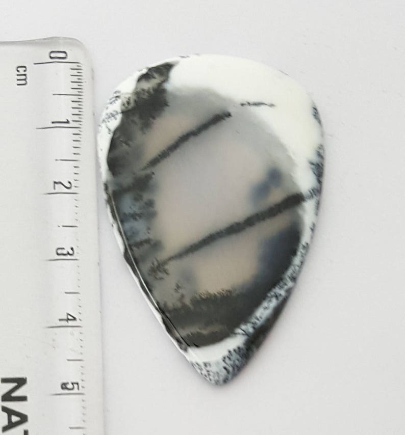 Dendritic Agate Cabochon