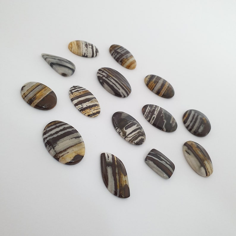 14 pcs Lot of Coco Jasper Cabochon