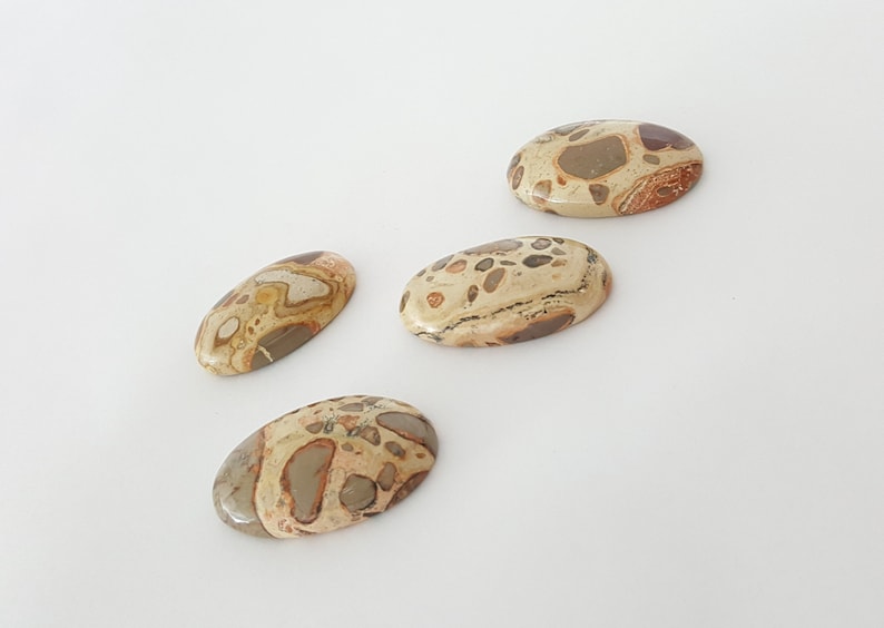 4 Pcs Lot of Leopardite Cabochon