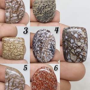 Dinosaur Bone Cabochon