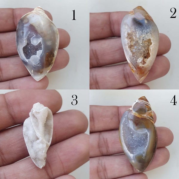 100% Natural !! gastropod fossil shell Gemstone