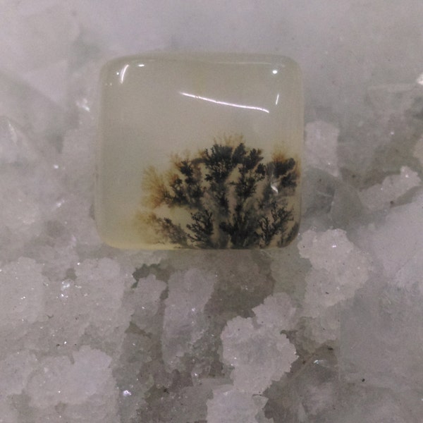 Dendritic Agate