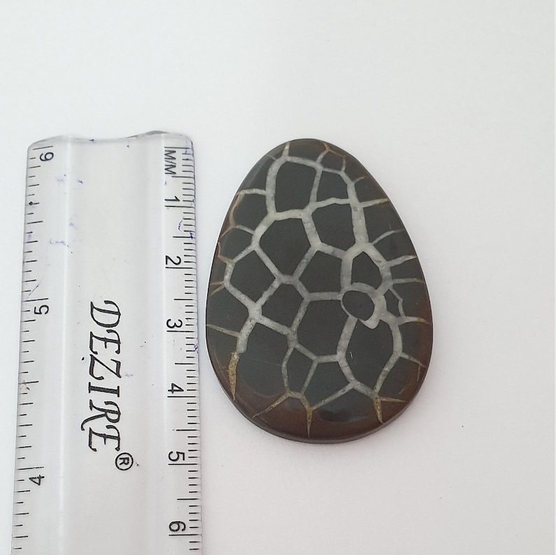 Septarian Gronates Cabochon