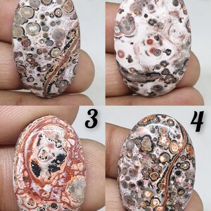 leopard Skin Jasper Cabochon