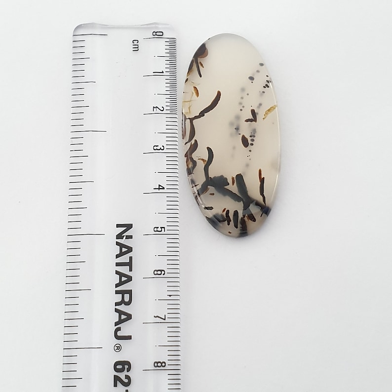 Montana Agate Cabochon