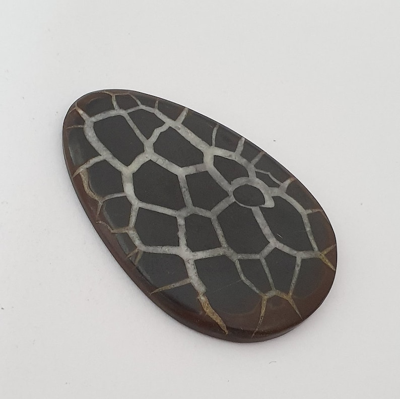 Septarian Gronates Cabochon