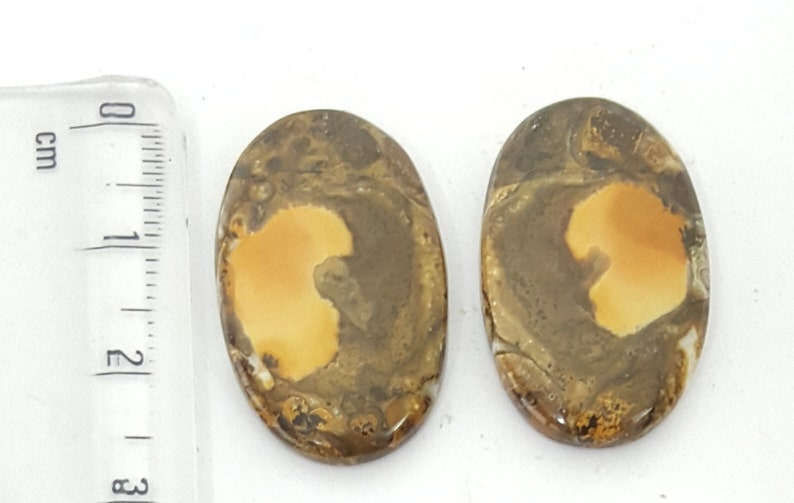 Cobra Jasper Pair Cabochon