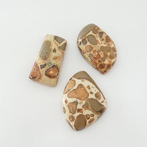 3 Pcs Lot of Leopardite Cabochon