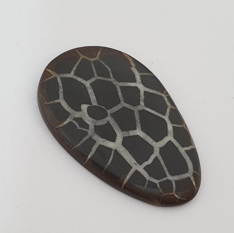 Septarian Gronates Cabochon