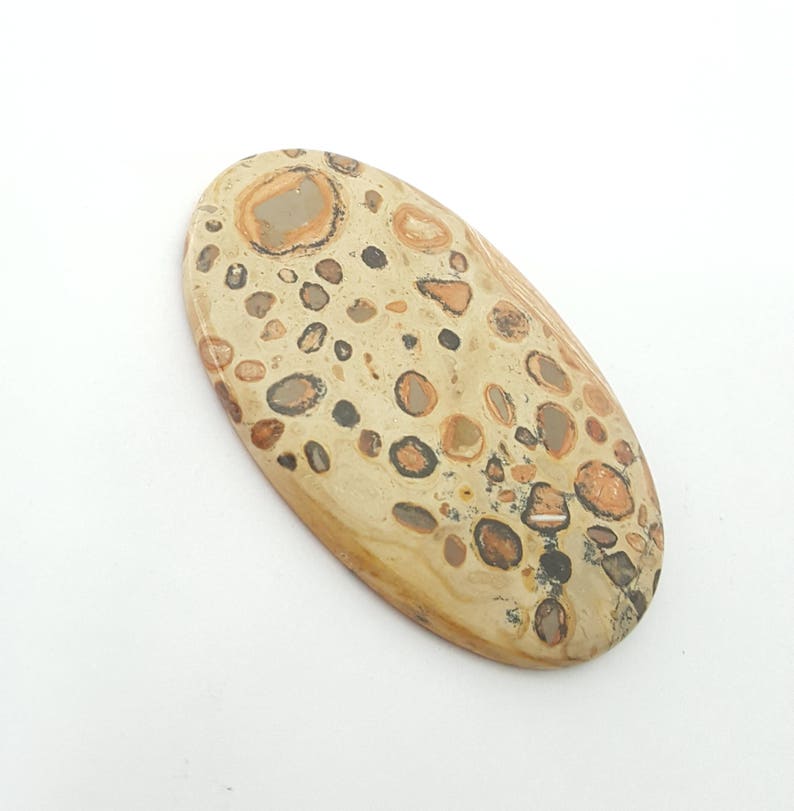 Leopardite Jasper Cabochon