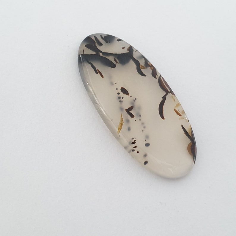 Montana Agate Cabochon