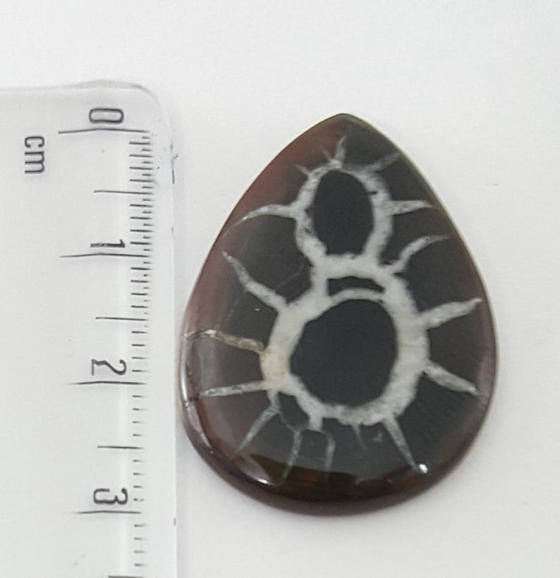 Septarian gronates Cabochon