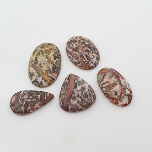 5 pcs Lot of Leopard Skin Jasper Cabochon