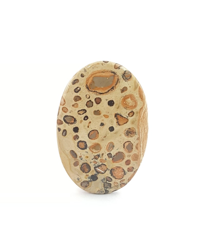 Leopardite Jasper Cabochon