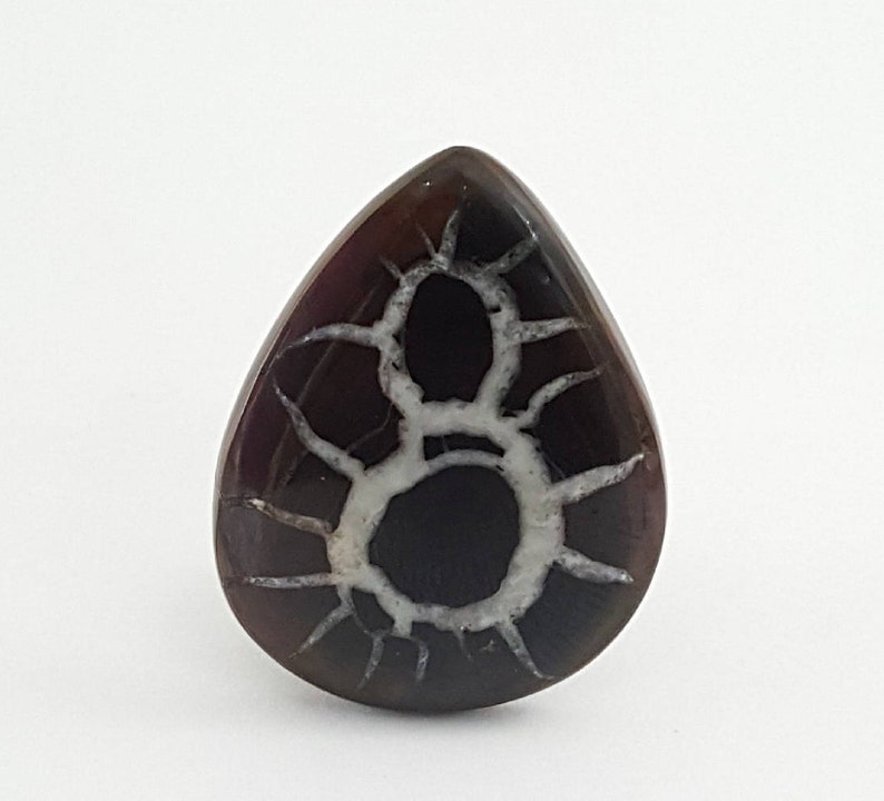 Septarian gronates Cabochon