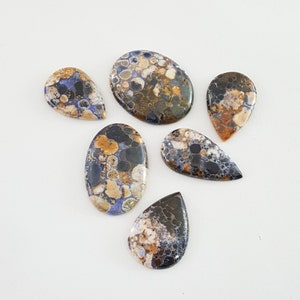 6 Pcs Lot of Cobra Jasper Cabochon Color Enhanced